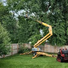 Best Storm Damage Tree Cleanup  in Dupont, WA